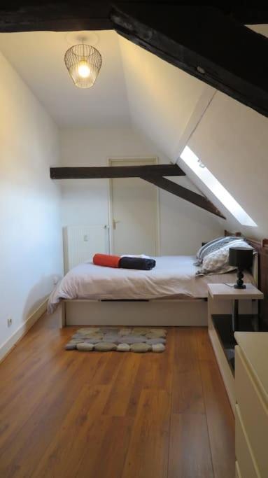 Loft De 53 M2 Centre Ville Blois,Tv Exteriör bild